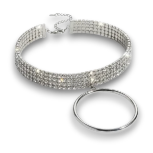 Zirkon taşlı metal halkalı choker kolye ürününün beyaz arka plan üzerindeki genel görünümü.