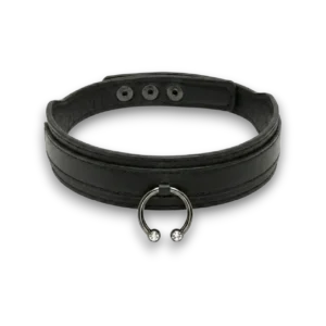 Metal halkalı zirkon taşlı deri choker ürününün beyaz arka plan üzerindeki genel görünümü.