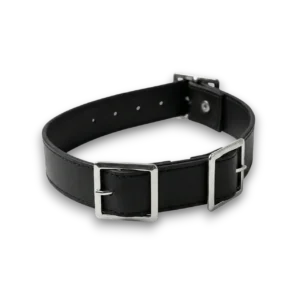 Üç tokalı punk tarz deri choker modelinin beyaz arka plan üzerindeki genel görünümü.